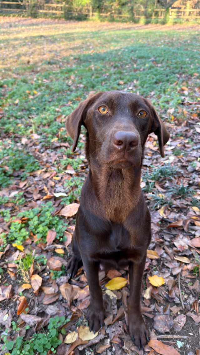 Maggie Mae